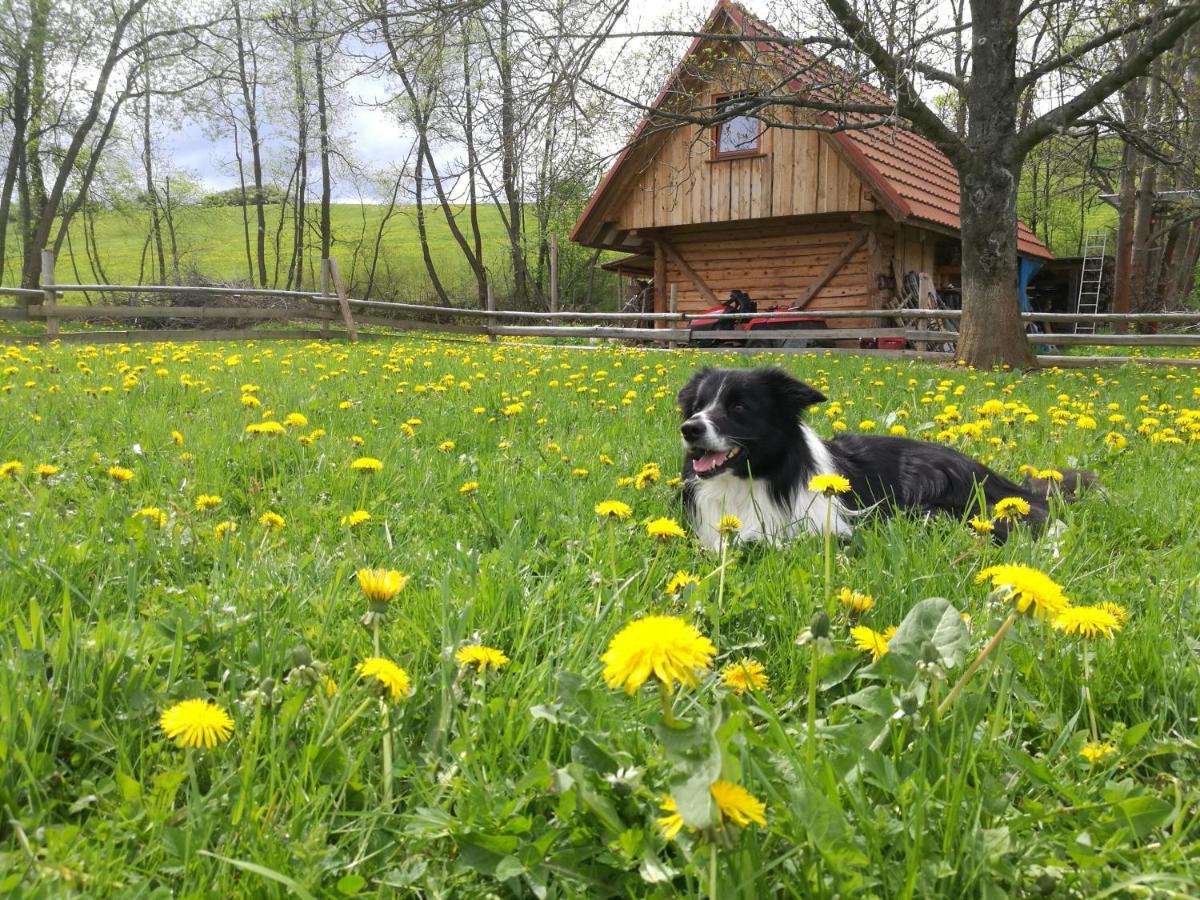 Holiday Home Holiday Raj Bešeňová Extérieur photo